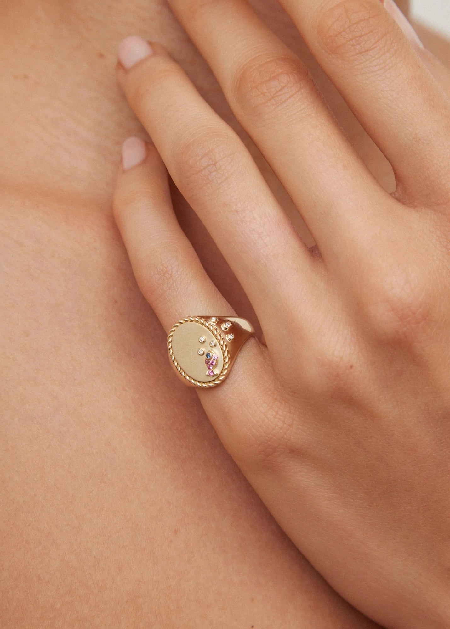 9k yellow gold oval chevalier under the water ring with pink sapphire fish signet ring by Yvonne Leon Tiny Gods 