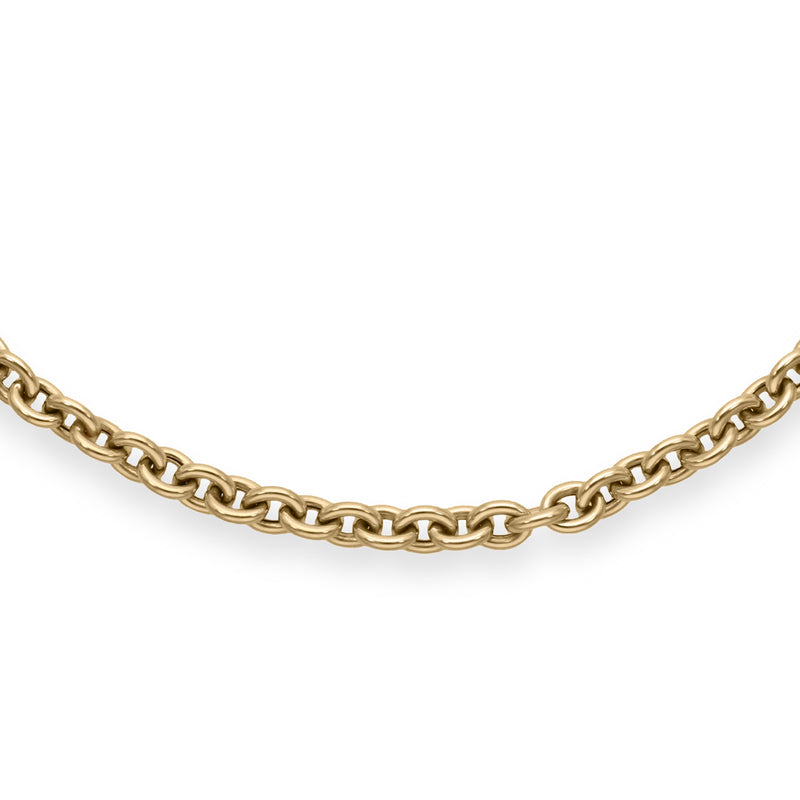 14k yellow gold polished short lee cable link chain necklace by Lauren Rubinski Tiny Gods