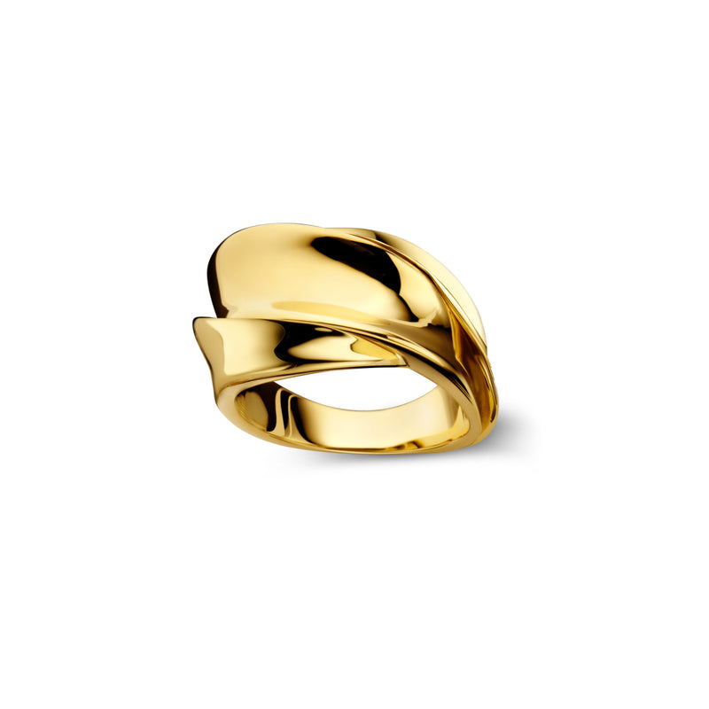 18k yellow gold flux I ring by Dries Criel Tiny Gods