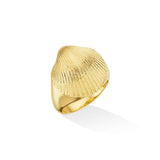 Shell Pinky Ring