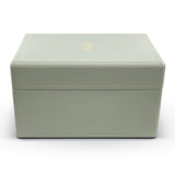 Mint trunk jewelry case by Trove