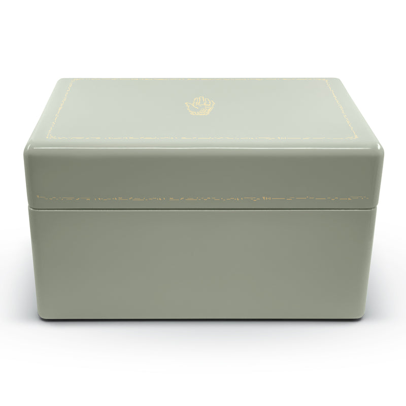 Mint trunk jewelry case by Trove