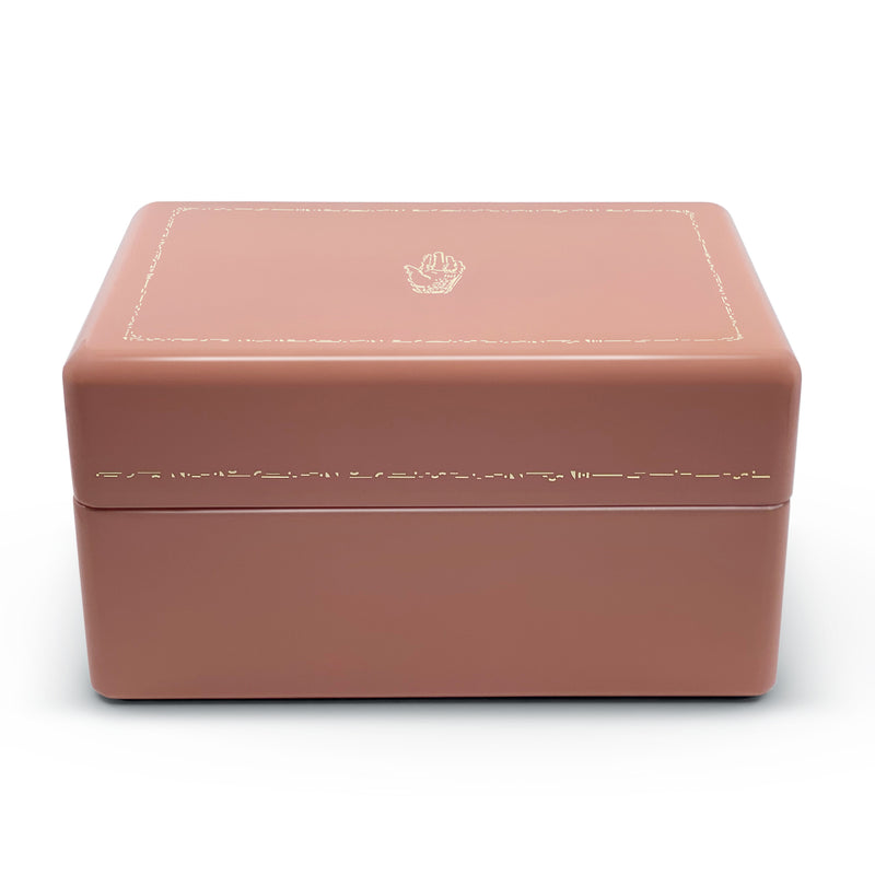Blush jewelry trunk case by Trove