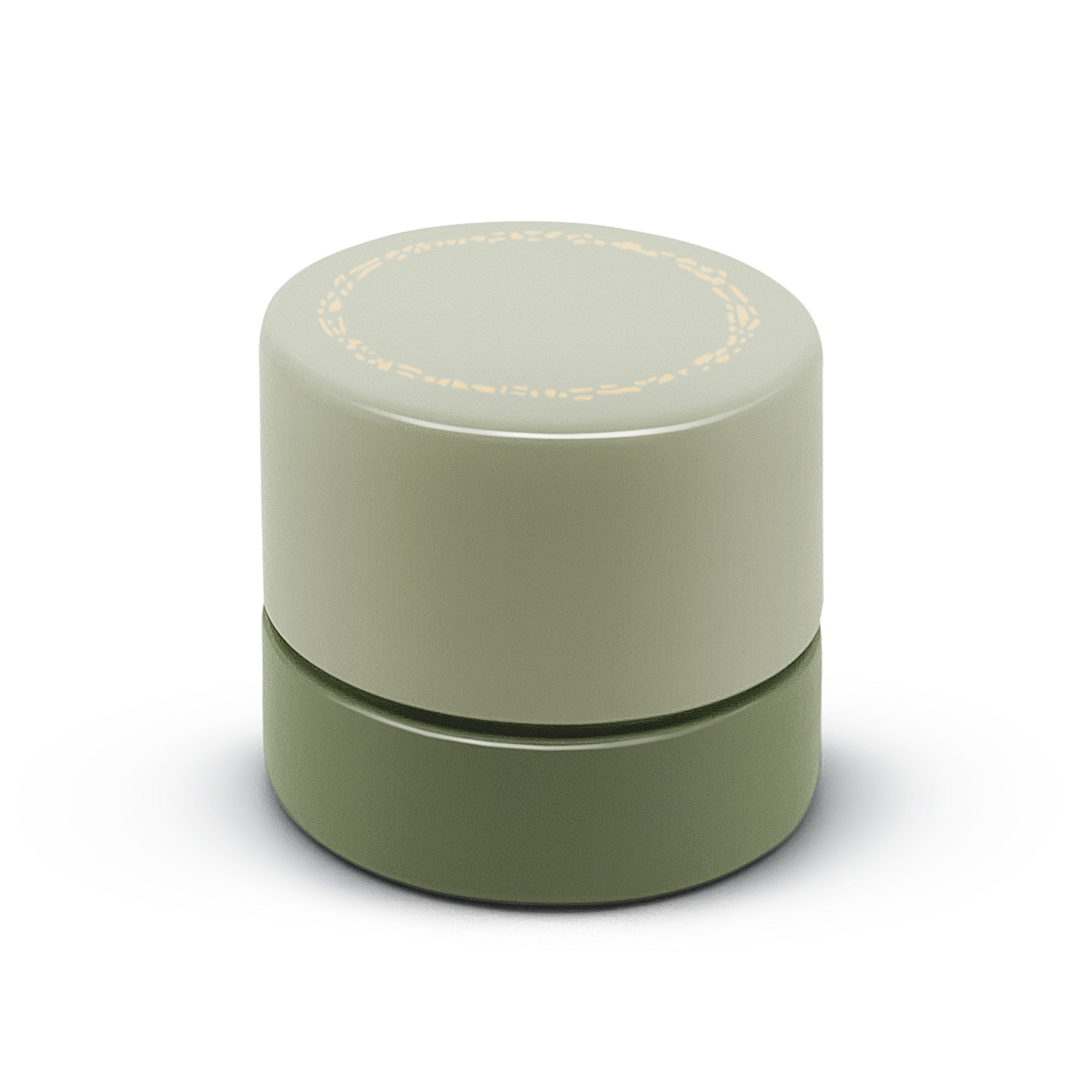 Mint Sidekick jewelry case by Trove